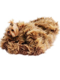 Load image into Gallery viewer, Cozy, Porcupine
