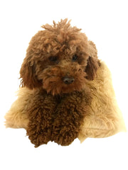 Crate Liner, Caramel Shag Plush