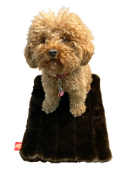 Crate Liner, Brown Mink