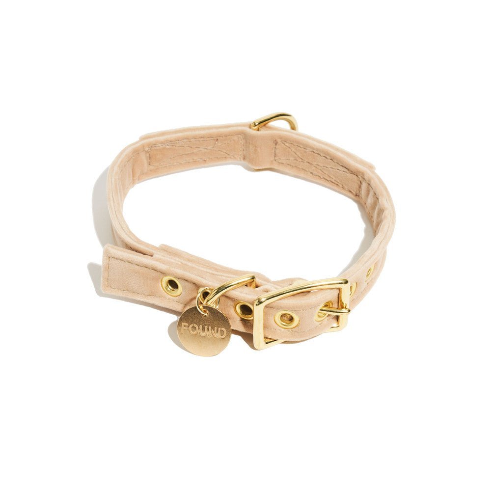Dog Collars Premium Cream Washable Velvet Cat & Dog Collar