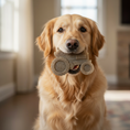 Load image into Gallery viewer, Tractor Nylon Dog Toy for Aggressive Chewers | USA Made | SodaPup
