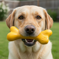 Load image into Gallery viewer, PUP-X Rubber Bone Dog Toy - Durable, Floats, Chew Toy for Large Dogs | USA
