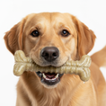 Load image into Gallery viewer, Tough Bone Nylon Chew Bone | Ultra-Durable Dog Toy for Aggressive Chewers | SodaPup

