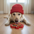Load image into Gallery viewer, Canadian Maple Leaf Nylon Dog Chew Toy - Indestructible & USA Made
