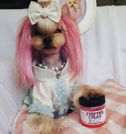 Critter Color - Temporary Pet Fur Coloring/Dog Dye