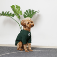 Load image into Gallery viewer, Embroidery Waffle T-Shirt - Green
