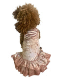 Load image into Gallery viewer, Crushing on YOU Metallic Velvet Dog Dress, Blush

