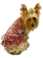 Crushing on YOU Metallic Velvet Dog Dress, Rosewater