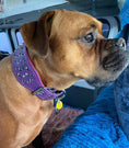 Load image into Gallery viewer, "Crystal" 2.8 inch wide soft leather collar
