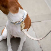 Leash 4ft - Vegan Leather - Cupertino