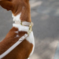 Load image into Gallery viewer, Collar - Air Tag Enabled - Vegan Leather - Cupertino Nina Woof
