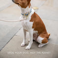 Load image into Gallery viewer, Collar - Air Tag Enabled - Vegan Leather - Cupertino Nina Woof
