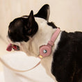 Load image into Gallery viewer, Collar - Air Tag Enabled - Vegan Leather - Cupertino Nina Woof
