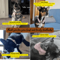 Load image into Gallery viewer, Teddy Pink Set
