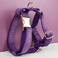 Load image into Gallery viewer, Velvet Purple Set
