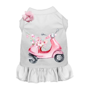 Parisian Scooter Day Trip- Dog Dress
