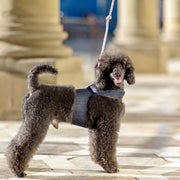 Personalized Denim Dog Harness Vest