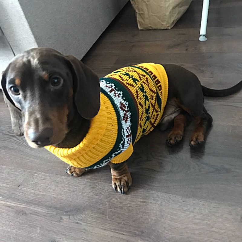 Classic Knit Dog Sweater - Southlake Paws