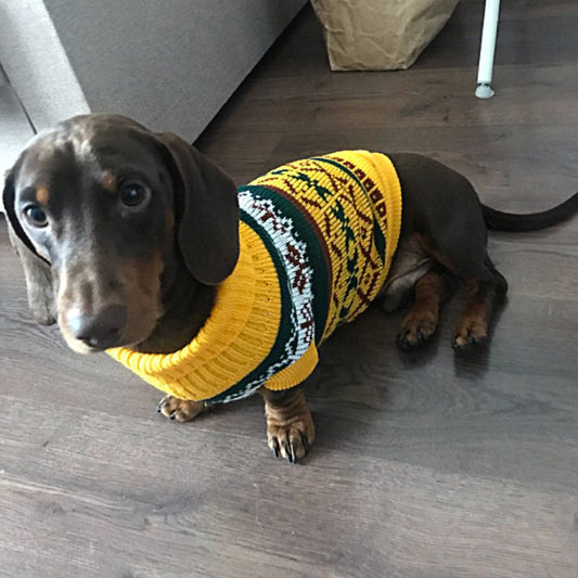Classic Knit Dog Sweater