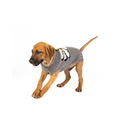 Load image into Gallery viewer, Big Daisy Dog Sweater
