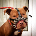 Load image into Gallery viewer, The "Danger" muzzle
