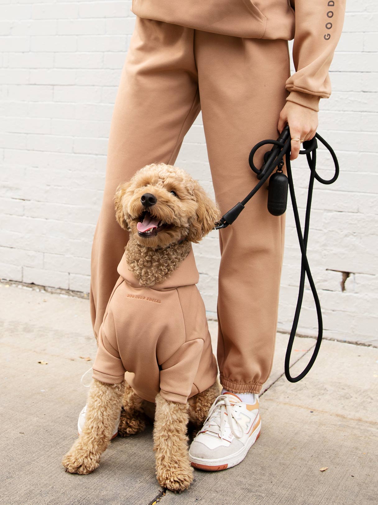 Human Fleece Jogger - Southlake Paws