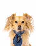 Load image into Gallery viewer, CLASSIC NECKTIE
