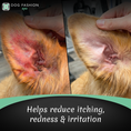 Load image into Gallery viewer, Orecchio #1 Unscented Ear Cleaner 8oz by Dog Fashion Spa
