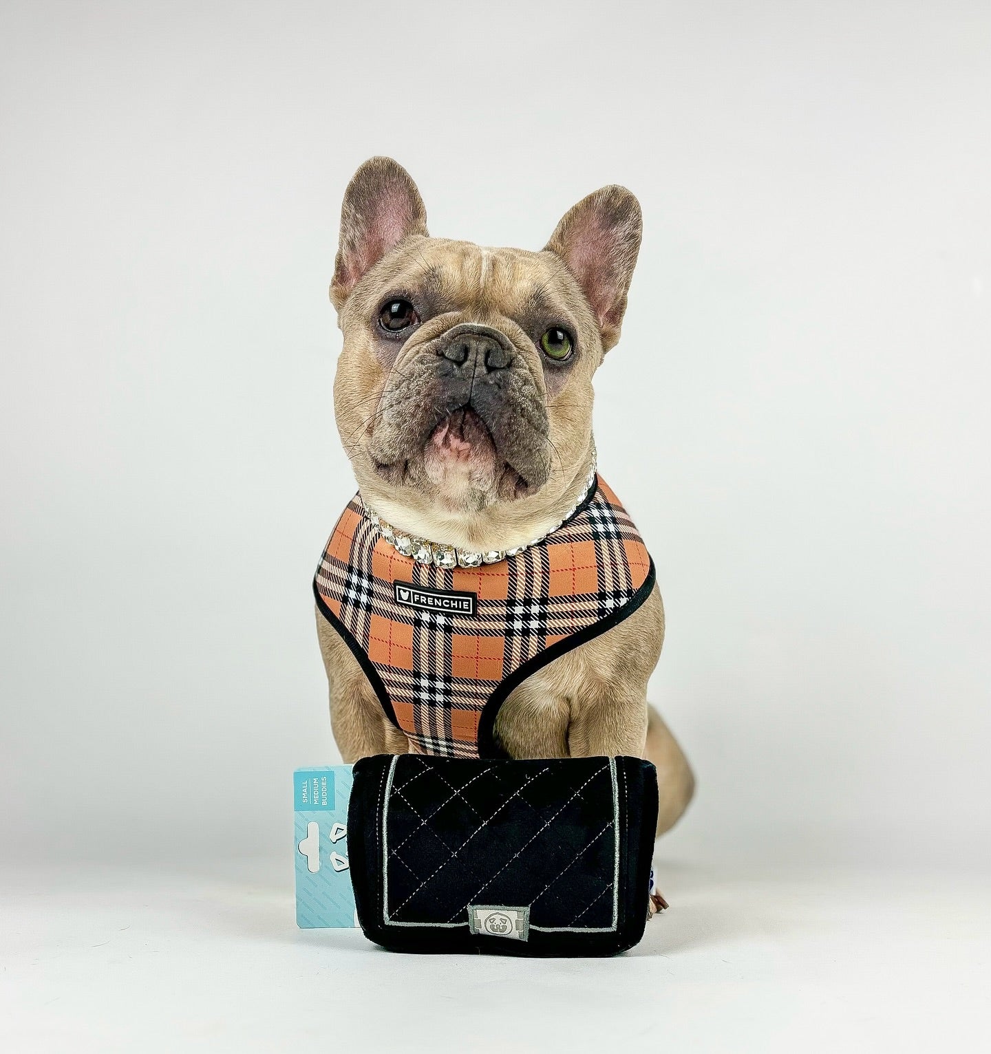 CHEWNEL PLUSH DOG TOY - Southlake Paws
