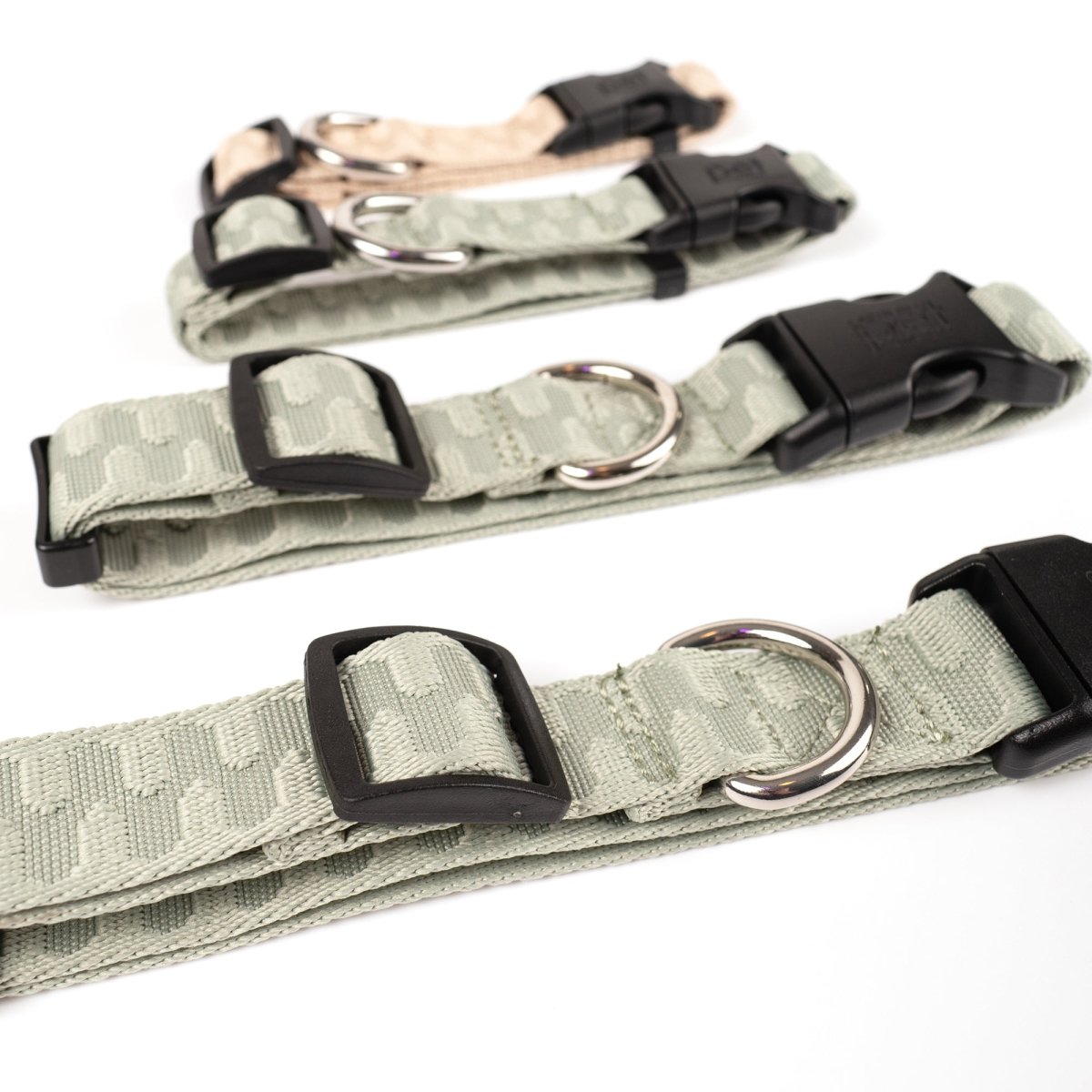 Dog Collar- Checkered Wave