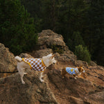 Dog Cotton Smiley Tee 