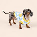 Dog Cotton Smiley Tee 