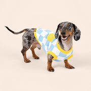 Dog Cotton Smiley Tee 