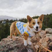 Dog Cotton Smiley Tee