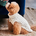 Load image into Gallery viewer, Nooee Pet Off White Wool Cable Sweater
