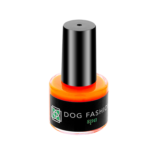 Disco Paw Orange Non-toxic Nail Polish by Dog Fashion Spa professional dog grooming tool Southlake Paws