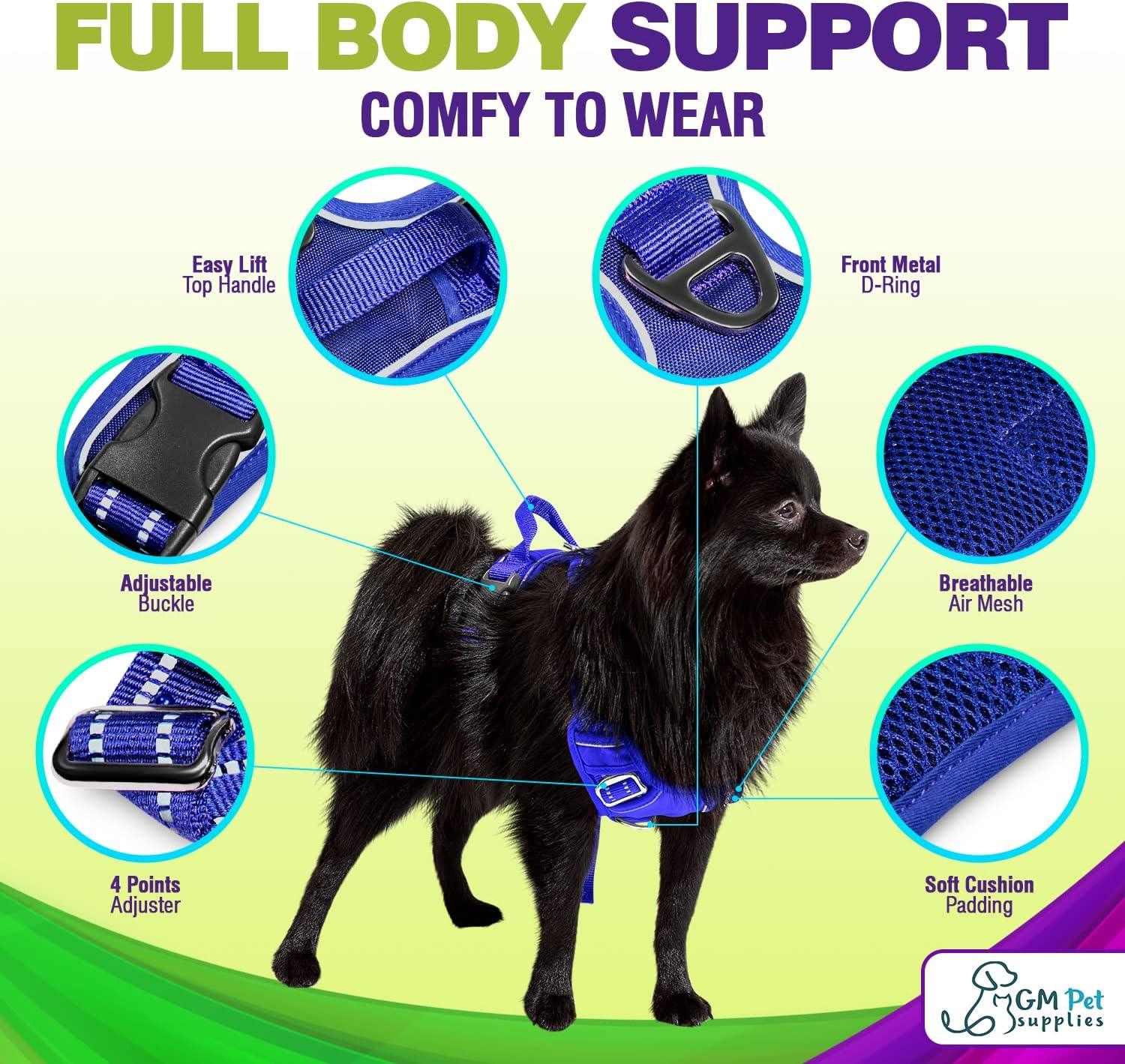 Dog Harness Walking kit and Leash Set
