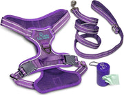 Dog Harness Walking kit and Leash Set
