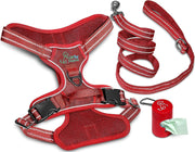 Dog Harness Walking kit and Leash Set