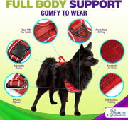 Dog Harness Walking kit and Leash Set