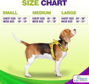 Dog Harness Walking kit and Leash Set