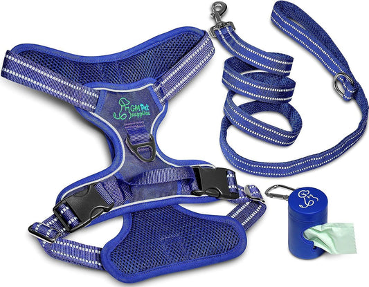 Dog Harness Walking kit and Leash Set