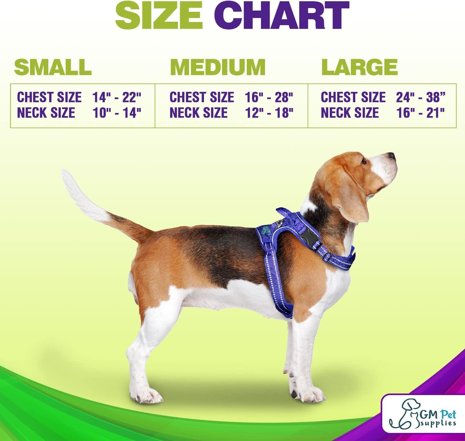 Dog Harness Walking kit and Leash Set