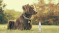 Load image into Gallery viewer, 10-In-1 Leave-In Conditioner and Detangling Spray - Southlake Paws
