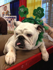 Pawdicure Polish Pens - Choose From 13 Colors! - Dog Nail Polish