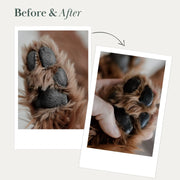 Dog Vegan Nose and Paw Balm Nina Woof