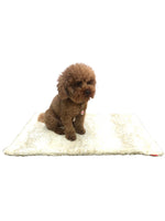 Blanket, Cheetah Beige