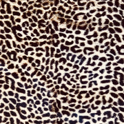 Blanket, Cheetah 