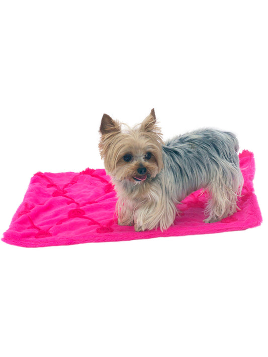 Blanket, Embroidered Roses in Hot Pink