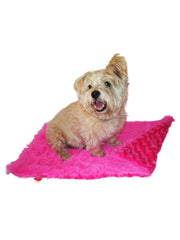 Blanket, Powder Puff in Hot Pink